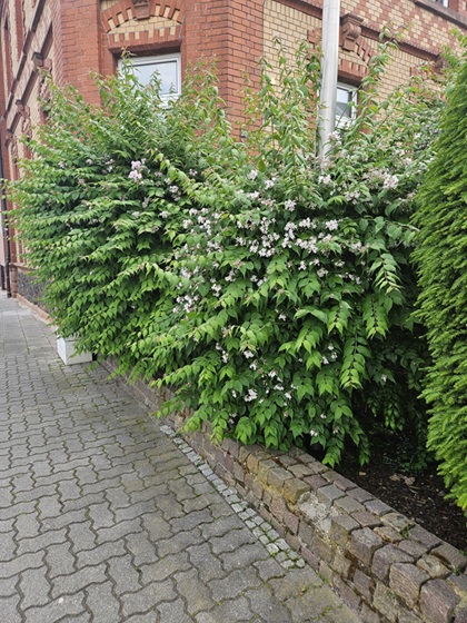 Hausmeisterservice 1