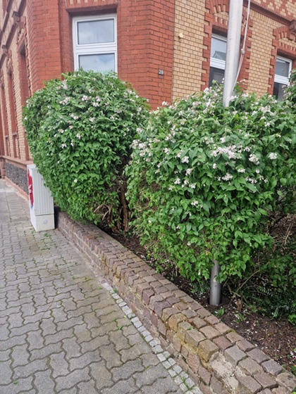 Hausmeisterservice 2