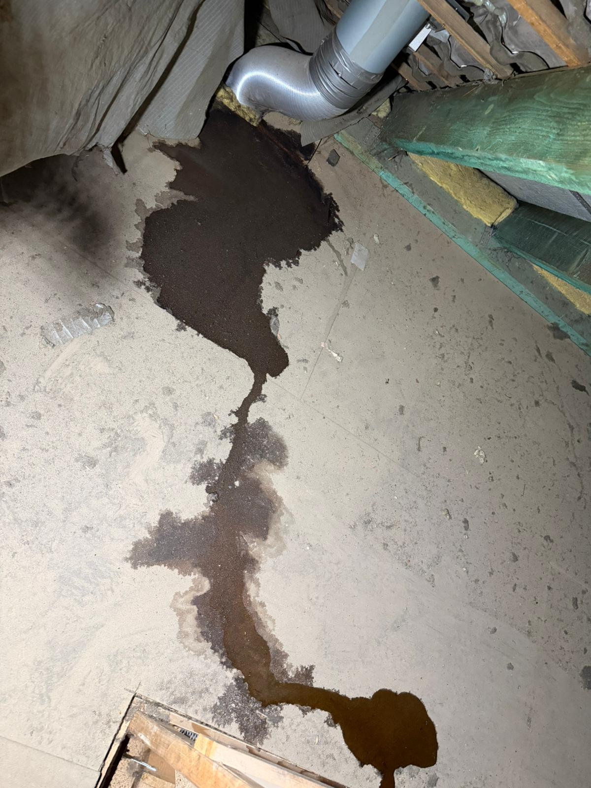 Wasserschaden Beseitigung 1