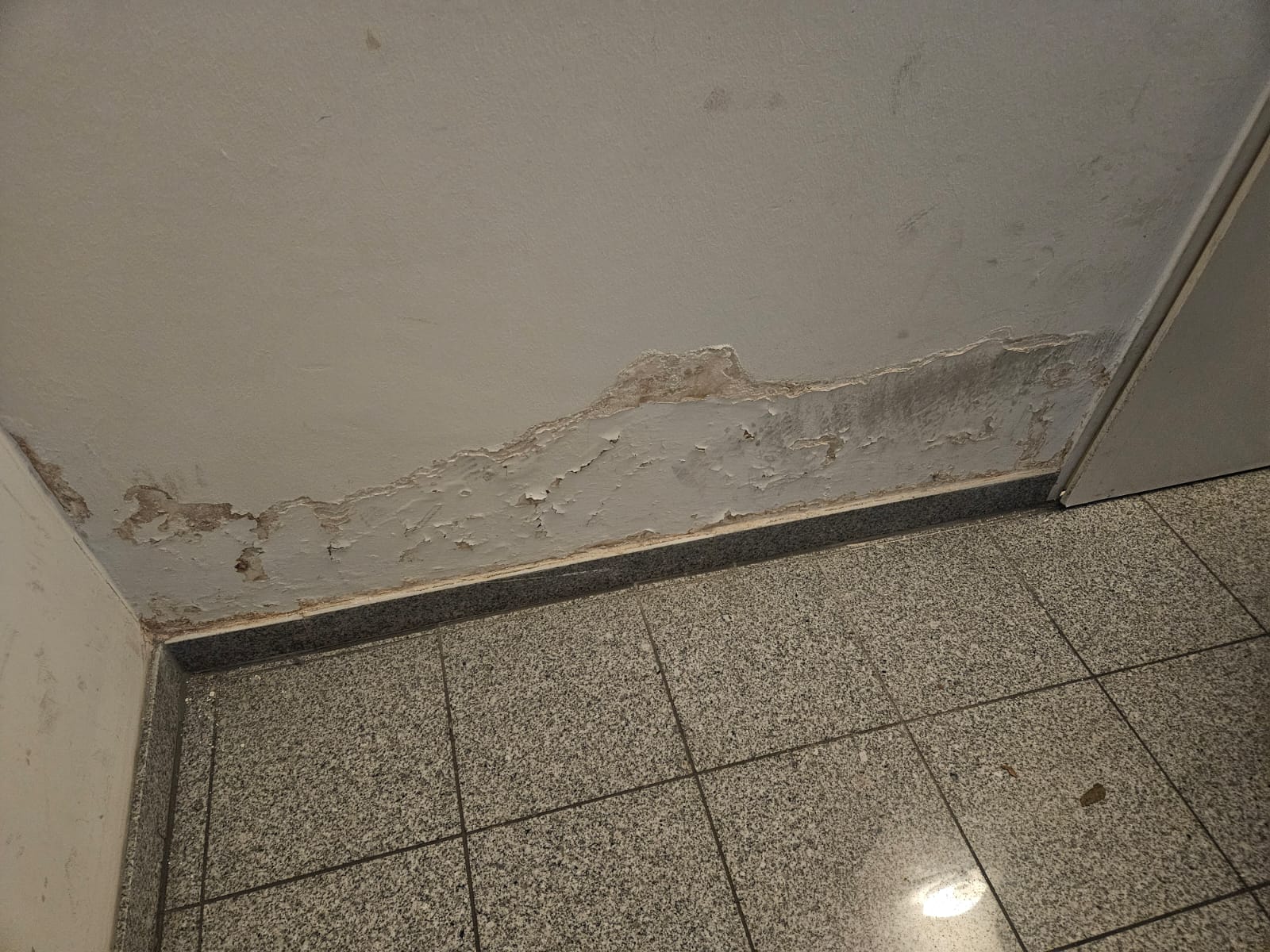 Wasserschaden Projektbild 12